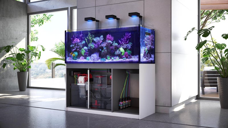 Red Sea Reef Spec Aquarium Carbon 2000 ml â€“ Superior Activated Carbon for Marine or Freshwater, Eliminates Toxins & Odors, Crystal Clear Water - Image 4